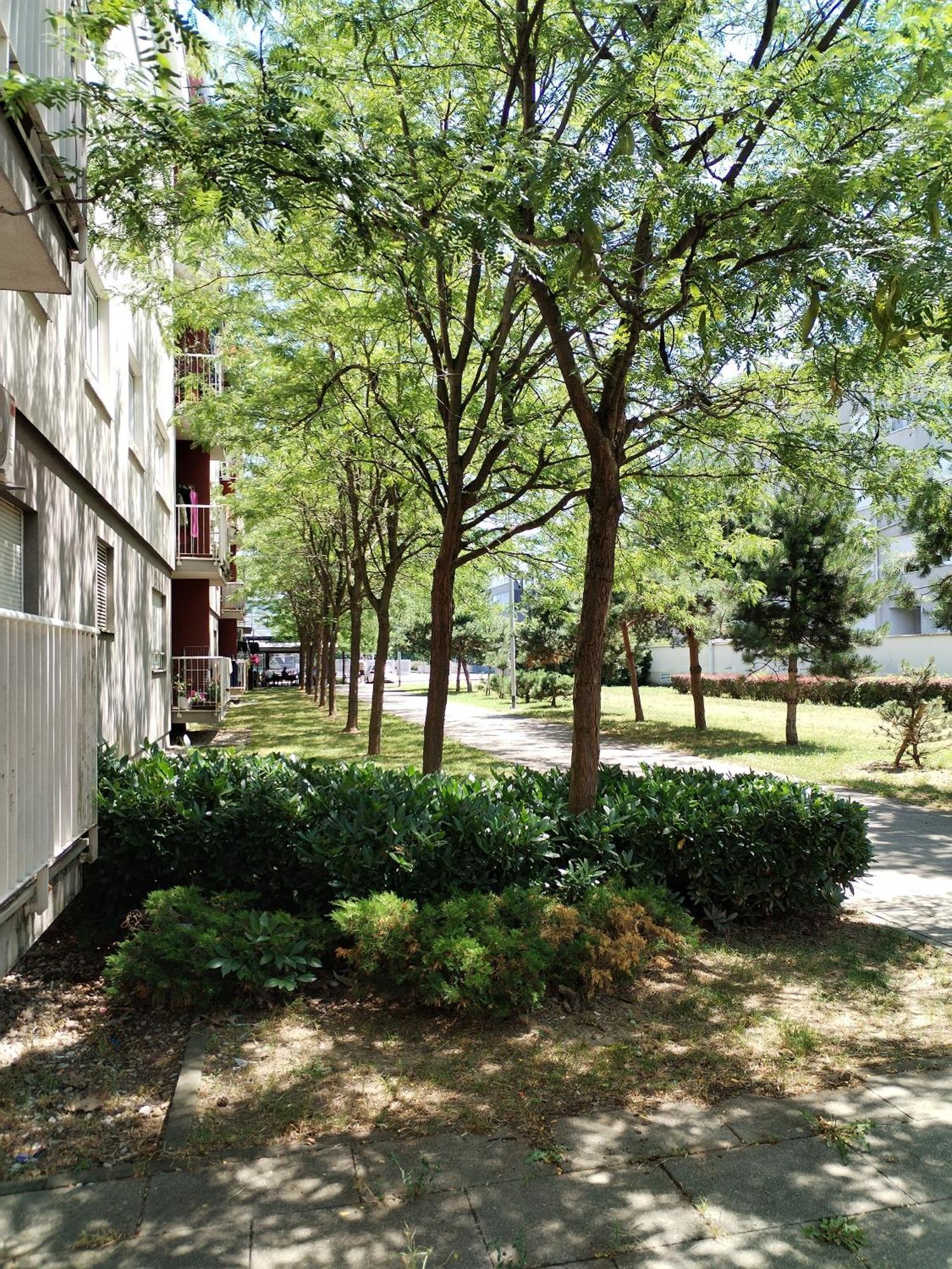 Apartman Ivana Zagreb Exterior foto